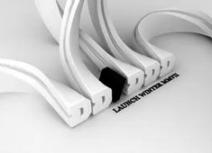 里昂经历挑战，球队寻求新的突破