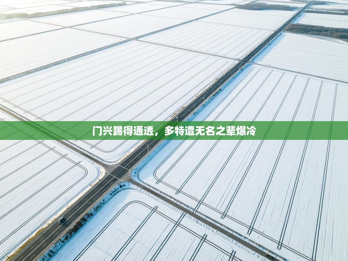 门兴踢得通透，多特遭无名之辈爆冷  第1张