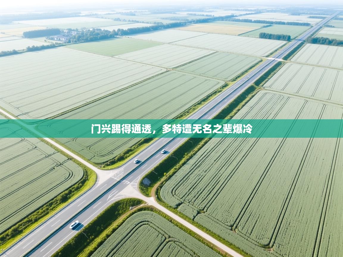 门兴踢得通透，多特遭无名之辈爆冷  第2张