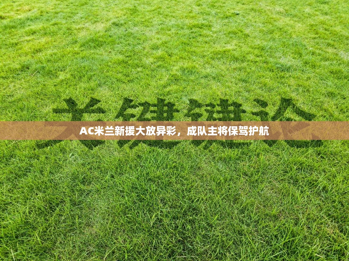 AC米兰新援大放异彩，成队主将保驾护航  第1张